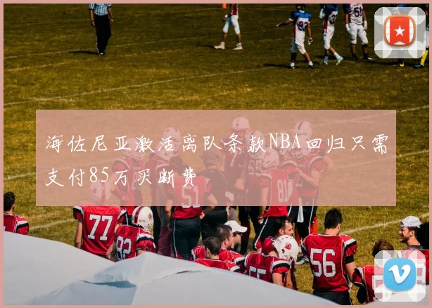 海佐尼亚激活离队条款NBA回归只需支付85万买断费